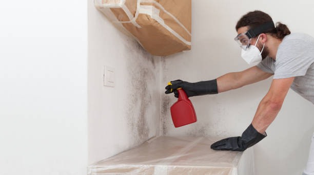 Professional Mold Testing technician working in Zarephath, NJ